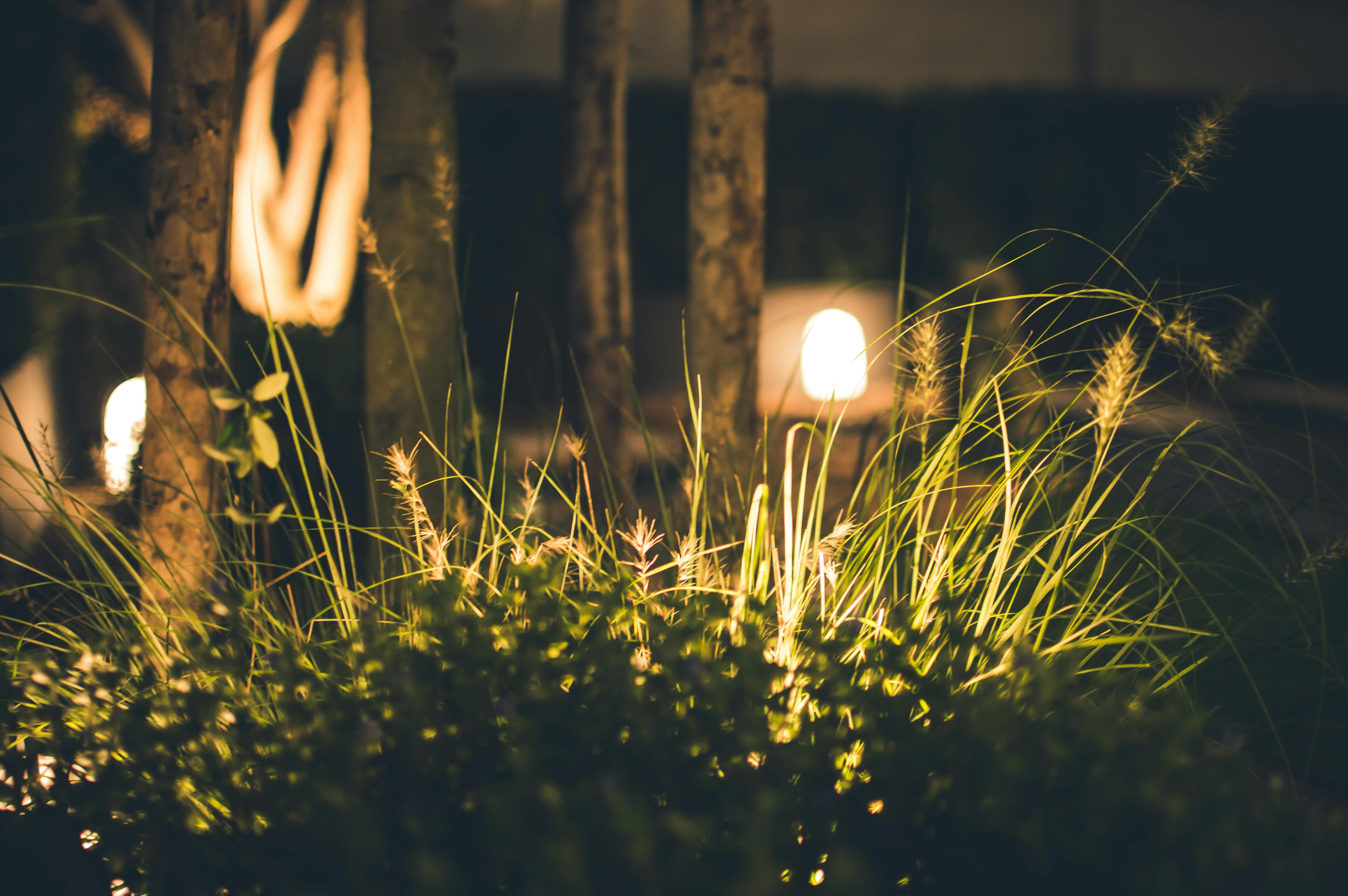 Cover Image for Outdoor Landscape Lighting: Enhancing Curb Appeal and Security